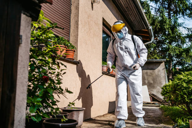 Best Pest Control for Homes  in Lake Hopatcong, NJ