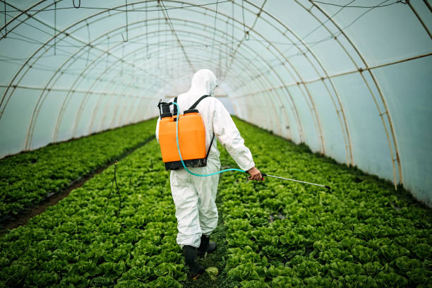 Best Pest Prevention Services  in Lake Hopatcong, NJ