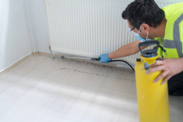 Best Best Pest Control Companies  in Lake Hopatcong, NJ
